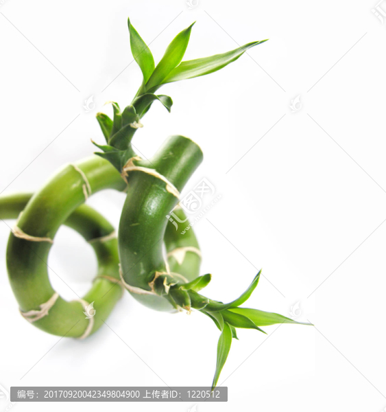 對象