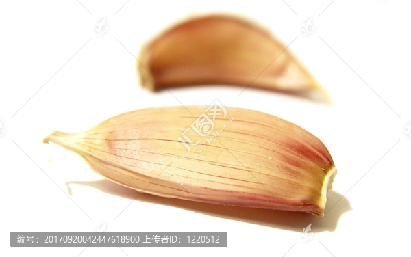 食品