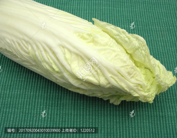 青菜白菜
