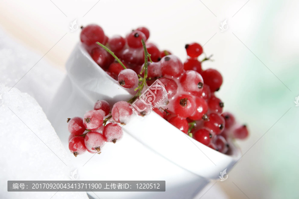 食品