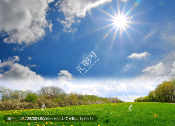 山水花草甸藍天
