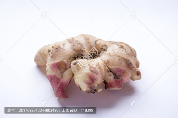 紫姜