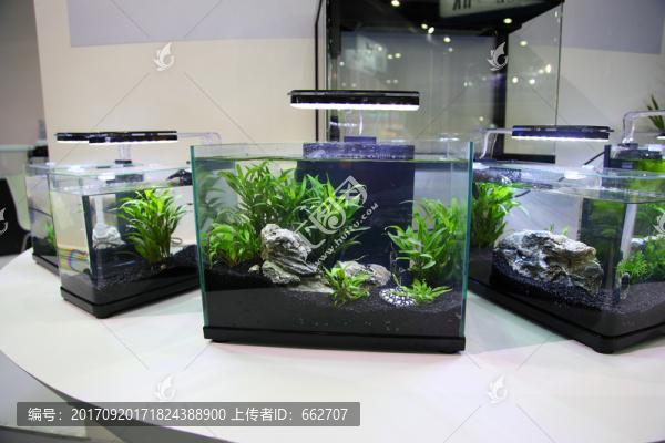 魚缸造景