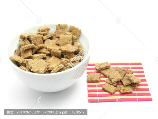 寵物狗