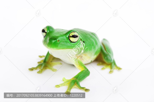 近