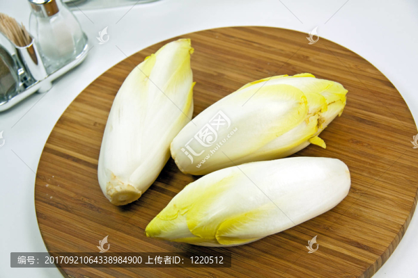 菊苣