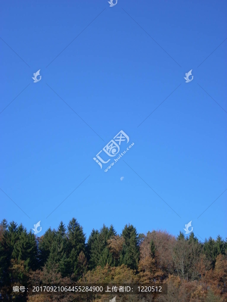 綠色