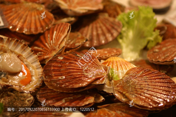 生菜干貝