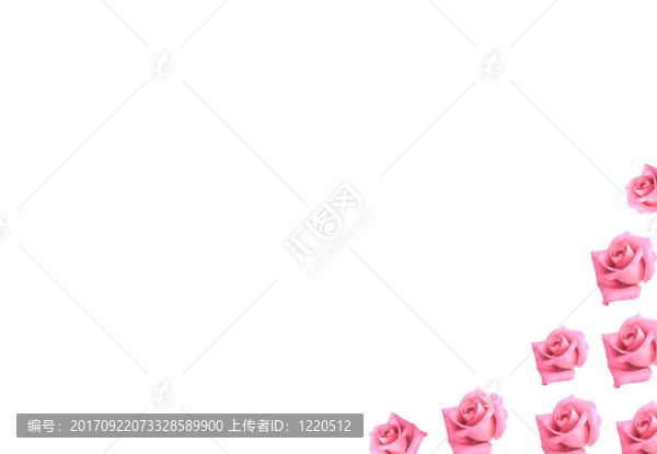 孤立的
