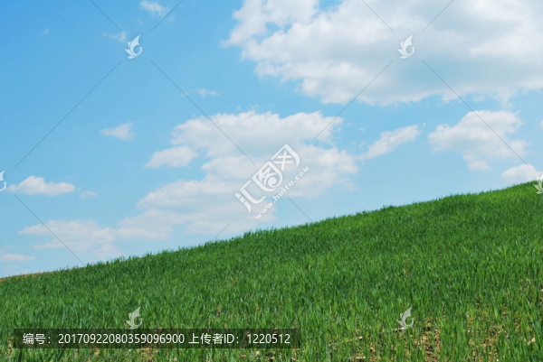 天空