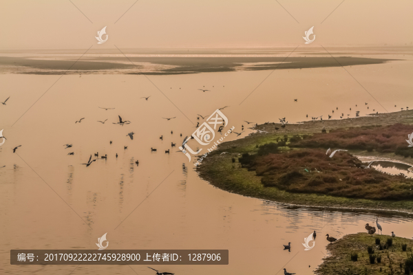 北戴河海洋濕地