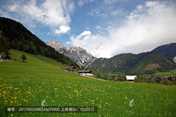 山