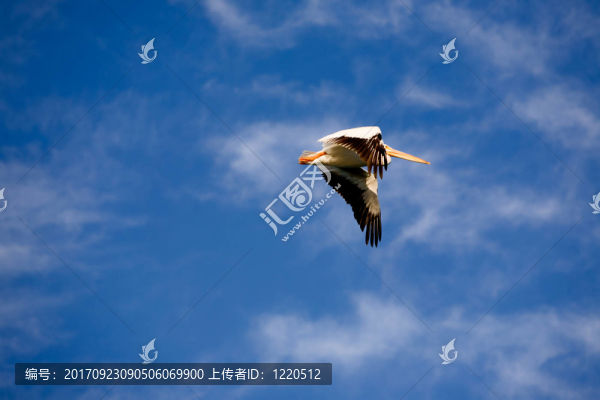 藍色