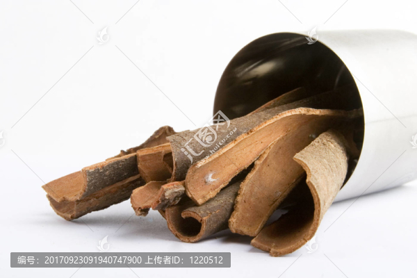 生命還在