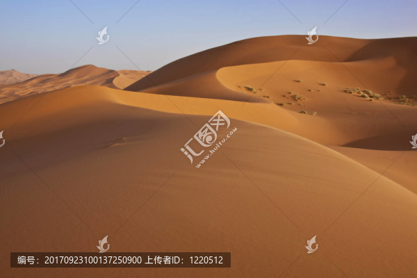 沙漠