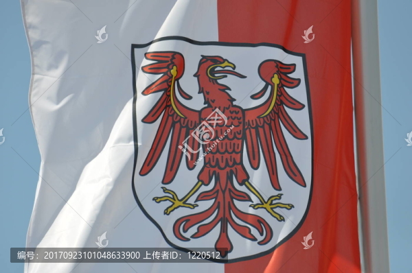 勃蘭登堡旗