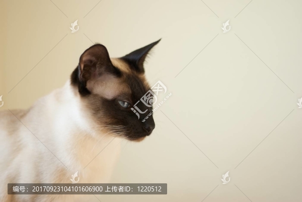 暹羅