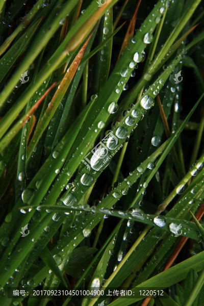 水滴