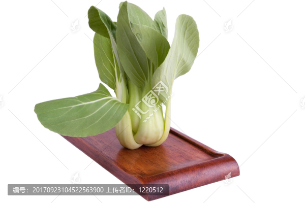 白菜
