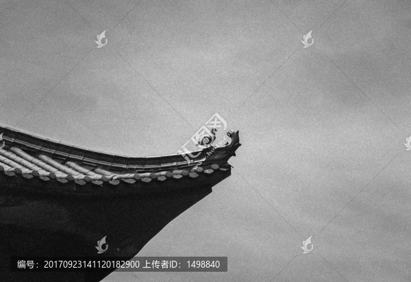 屋檐小鳥