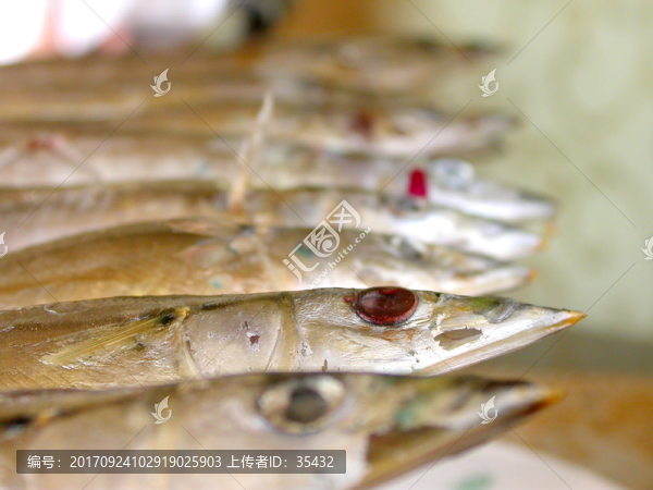 烤秋刀魚(yú)
