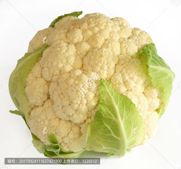 孤立的