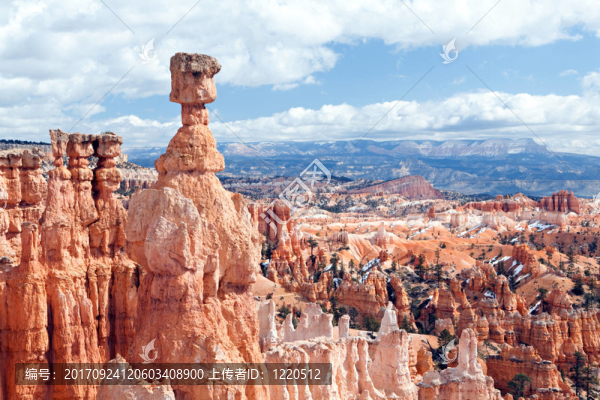 山
