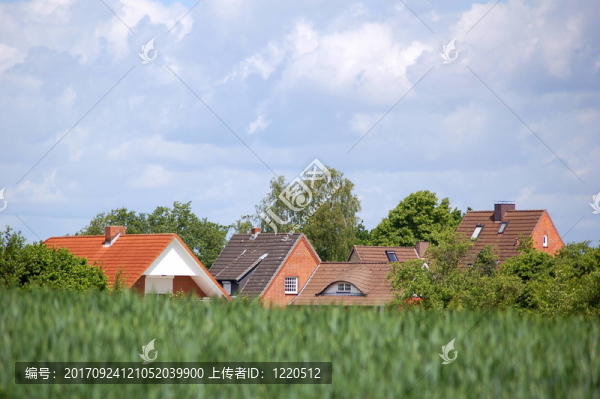 解決