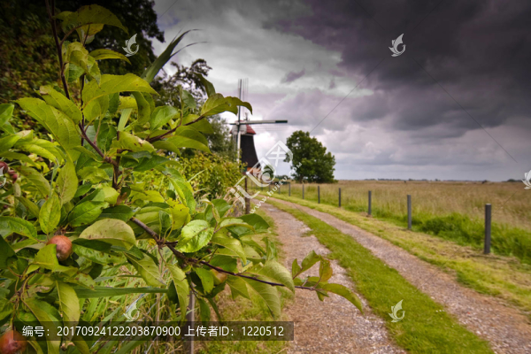 muehlenweg