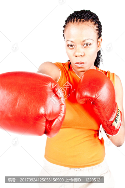 boxerin