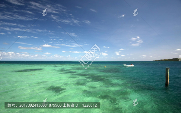冰島到斐濟種植園