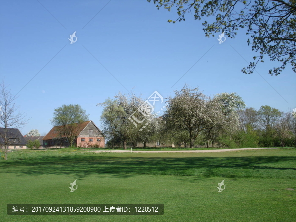 golfpark,strelasund