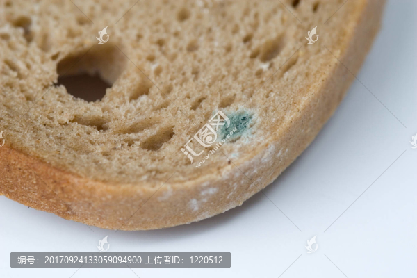 發(fā)霉的面包