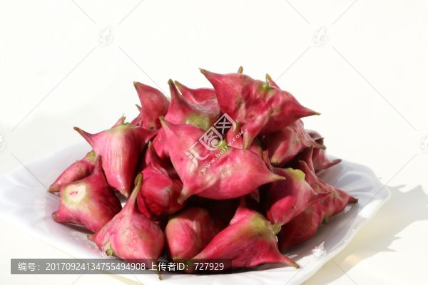 紅菱