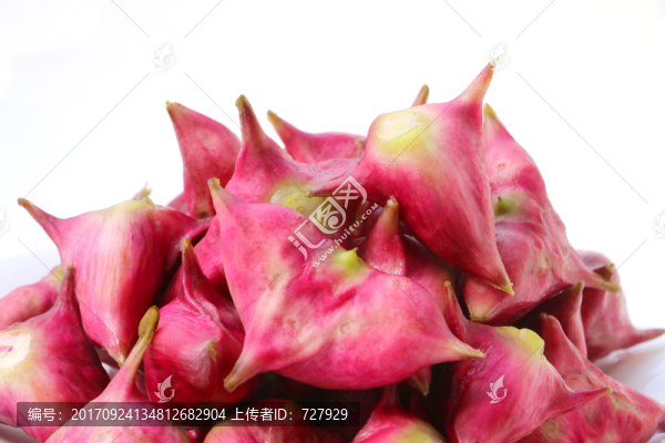 紅菱
