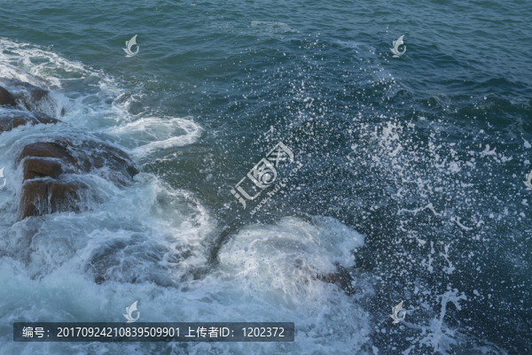 浪花