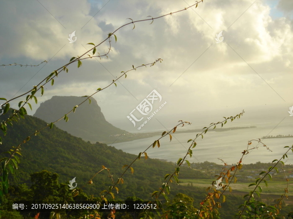 海岸