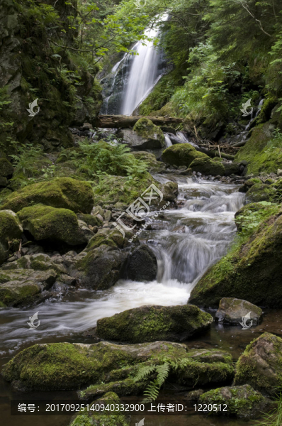 ravennaschlucht1