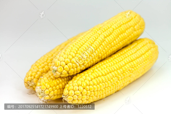 甜玉米