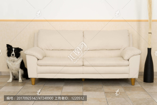 客廳