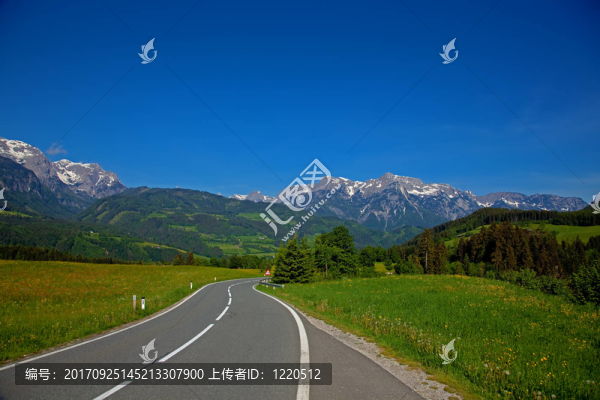 山