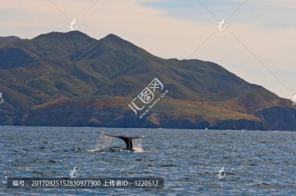 旅游
