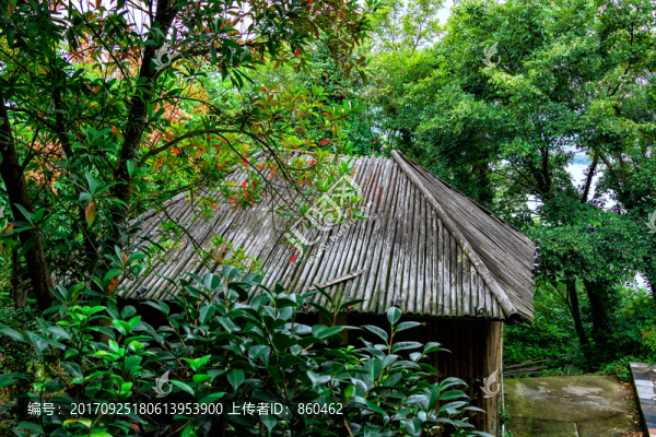 民宿小屋,樹木小屋