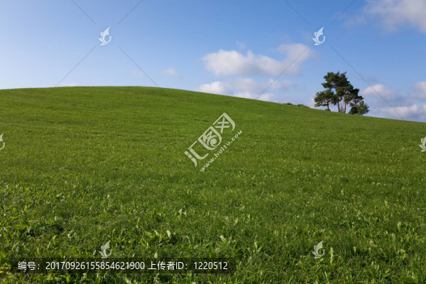 山