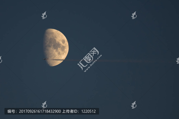 登月票
