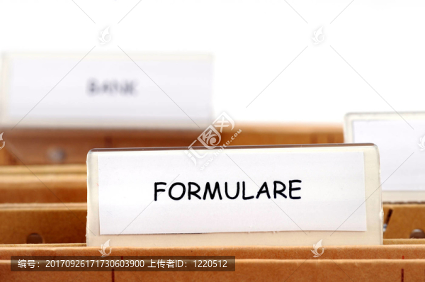 形式