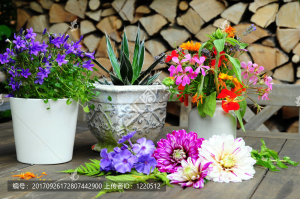 花盆裝飾園桌