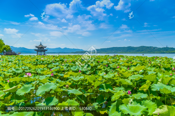 西湖風(fēng)景