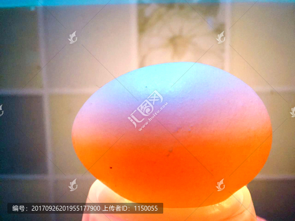 雞蛋