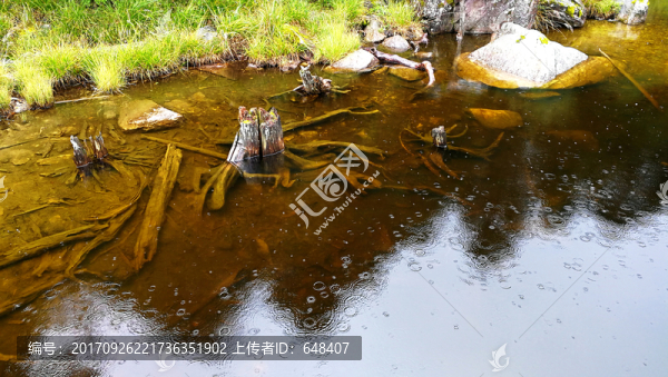 漣漪,雨滴,水面,蕩漾,波紋